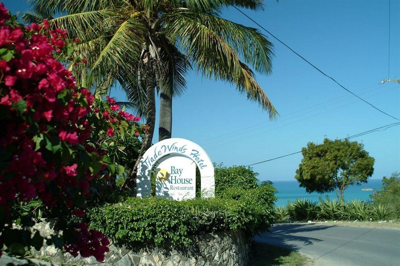 Trade Winds Hotel Dickenson Bay Exteriör bild