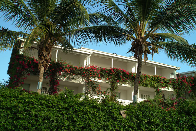 Trade Winds Hotel Dickenson Bay Exteriör bild