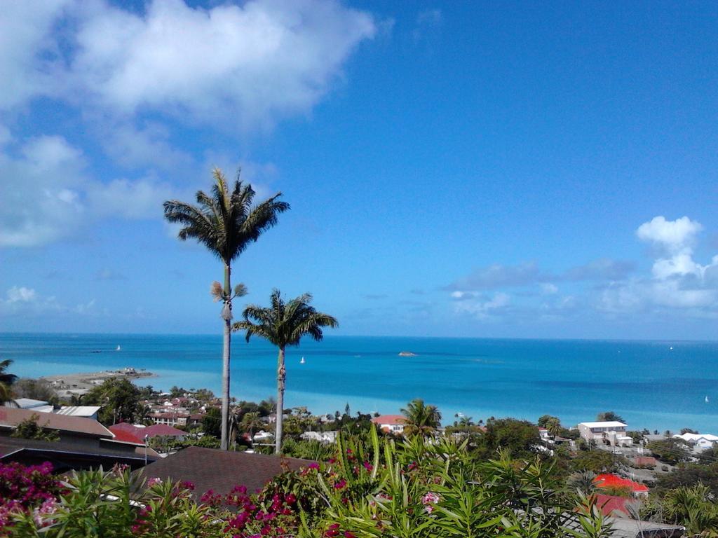 Trade Winds Hotel Dickenson Bay Exteriör bild