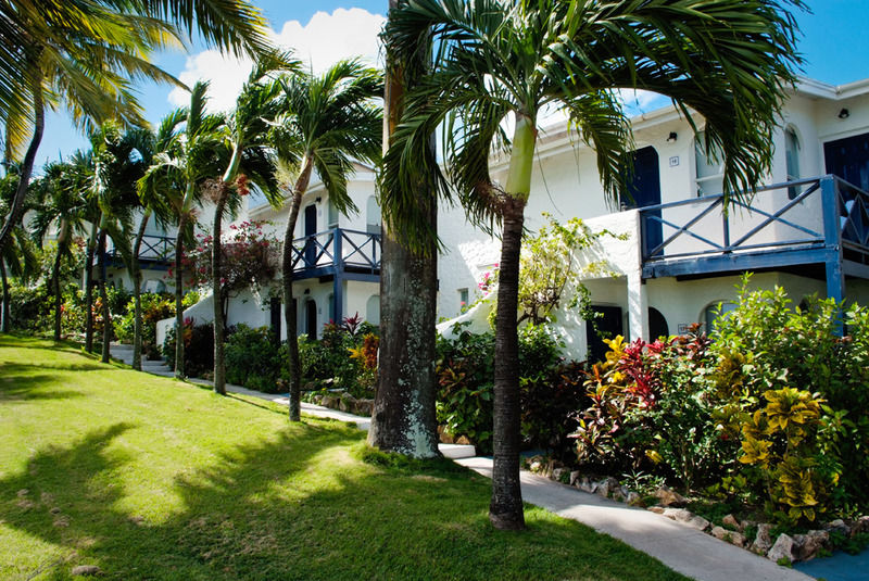 Trade Winds Hotel Dickenson Bay Exteriör bild